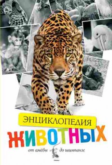 Книга Животные От амебы до шимпанзе Энц. (Уолтерс М.,Джонсон Дж.), б-10079, Баград.рф